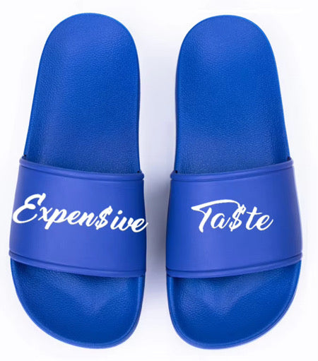 The Slides